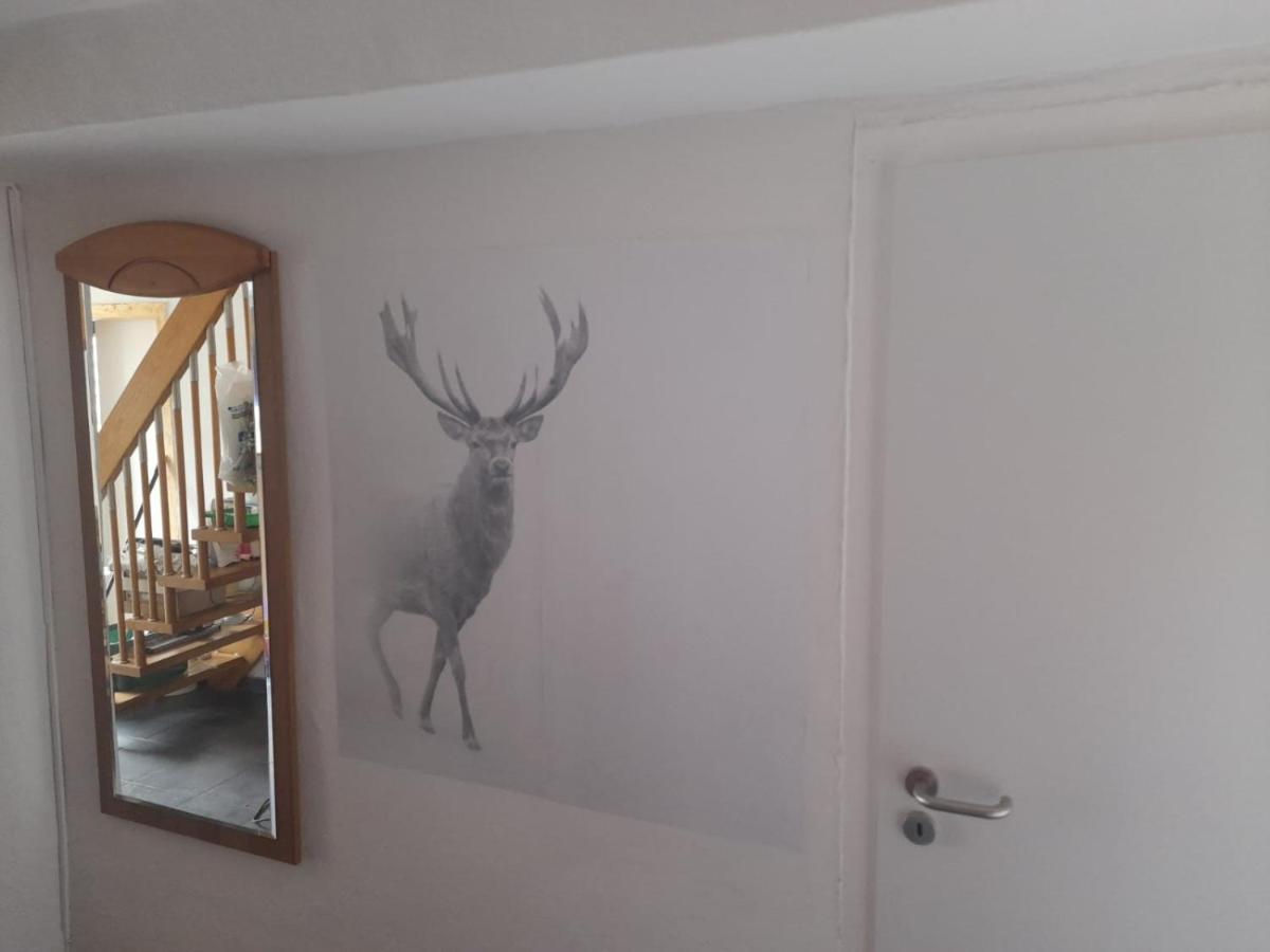Ferienwohnung Beckmann Bad Lauterberg Zewnętrze zdjęcie